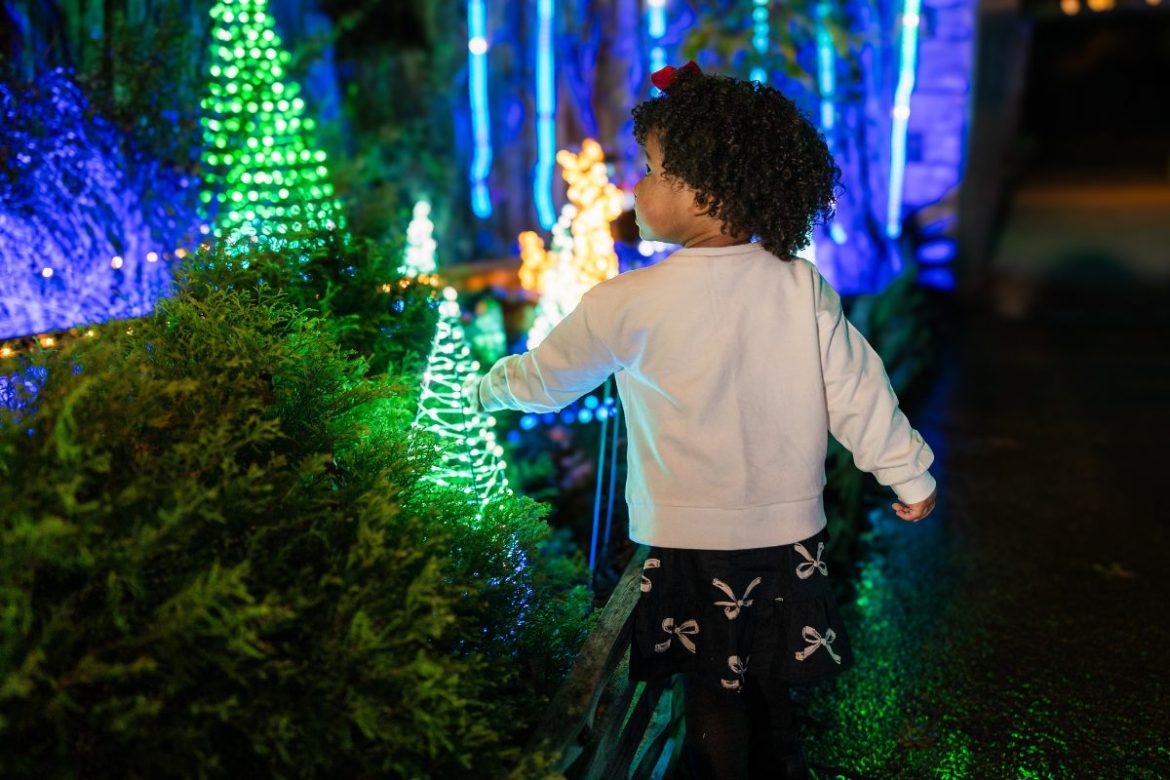 cheekwood-holiday-LIGHTS-little-girl2024